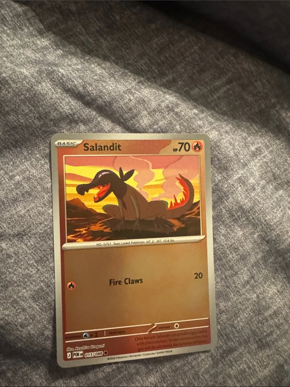 Salandit Pokémon Card - holo